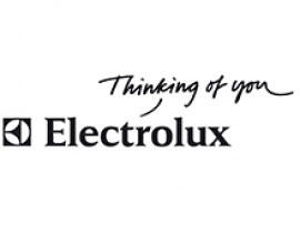 Логотип бренда Electrolux